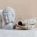 Tooth Powder - Image 4